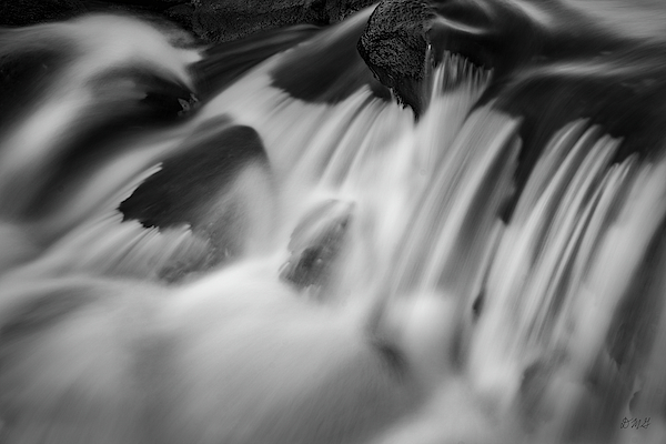 Blackstone River XLIV BW by David Gordon Blackstone River XLIV BW by David Gordon